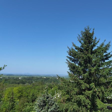 Apartament Sunset House Piestany Cervena Veza Banka Zewnętrze zdjęcie