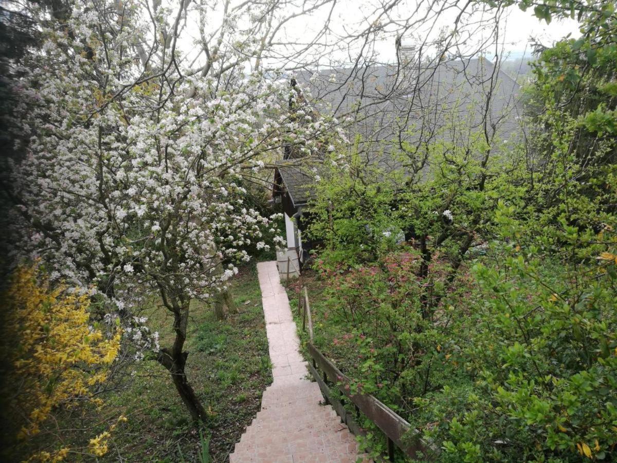 Apartament Sunset House Piestany Cervena Veza Banka Zewnętrze zdjęcie