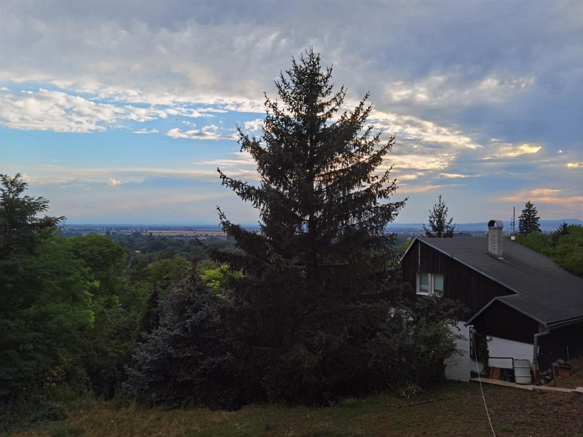 Apartament Sunset House Piestany Cervena Veza Banka Zewnętrze zdjęcie