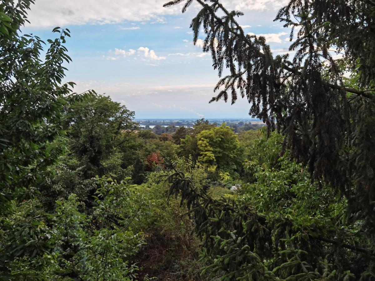Apartament Sunset House Piestany Cervena Veza Banka Zewnętrze zdjęcie